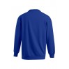 Longsleeve Polo Sweatshirt Plus Size Men Sale - VB/royal (2049_G3_D_E_.jpg)