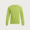Sweatshirt 80-20 Männer - WL/wild lime (2199_G1_C_AE.jpg)
