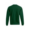 Sweatshirt 80-20 Männer - RZ/forest (2199_G3_C_E_.jpg)