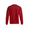 Sweat 80-20 Hommes - 36/fire red (2199_G3_F_D_.jpg)