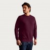 Sweat 80-20 Hommes - BY/burgundy (2199_E1_F_M_.jpg)