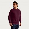 Sweatshirt 80-20 Männer - BY/burgundy (2199_E1_F_M_.jpg)