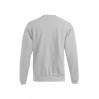 Sweatshirt 80-20 Men - XG/ash (2199_G3_G_D_.jpg)
