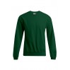 Sweatshirt 80-20 Plus Size Men - RZ/forest (2199_G1_C_E_.jpg)