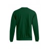 Sweatshirt 80-20 Plus Size Men - RZ/forest (2199_G3_C_E_.jpg)