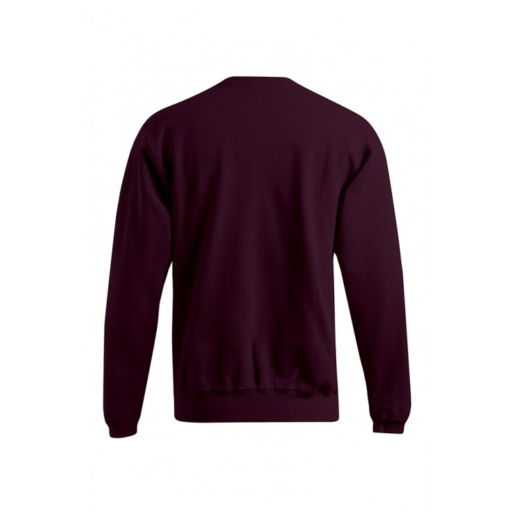 Sweatshirt 80-20 Plus Size Men - BY/burgundy (2199_G3_F_M_.jpg)