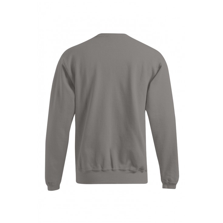 Sweatshirt 80-20 Plus Size Men Sale - WG/light grey (2199_G3_G_A_.jpg)
