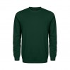 EXCD Sweatshirt Plus Size Unisex - RZ/forest (5077_G1_C_E_.jpg)