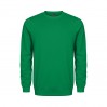 EXCD Sweat Unisexe - G8/green (5077_G1_H_W_.jpg)