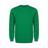 EXCD Sweat grandes tailles Unisexe - G8/green (5077_G1_H_W_.jpg)