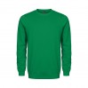 EXCD Sweatshirt Plus Size Unisex - G8/green (5077_G1_H_W_.jpg)