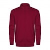 EXCD veste sweat Hommes - GR/granat (5270_G1_H_Q_.jpg)