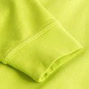 EXCD veste sweat grandes tailles Hommes - AG/apple green (5270_G5_H_T_.jpg)
