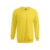 Sweat Premium Hommes - GQ/gold (5099_G1_B_D_.jpg)