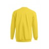 Sweat Premium Hommes - GQ/gold (5099_G3_B_D_.jpg)