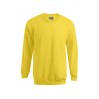 Premium Sweatshirt Plus Size Männer - GQ/gold (5099_G1_B_D_.jpg)