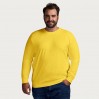 Premium Sweatshirt Plus Size Männer - GQ/gold (5099_L1_B_D_.jpg)