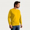 Sweatshirt 80-20 Männer - GQ/gold (2199_E1_B_D_.jpg)