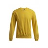 Sweat 80-20 Hommes - GQ/gold (2199_G1_B_D_.jpg)