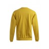 Sweat 80-20 Hommes - GQ/gold (2199_G3_B_D_.jpg)