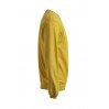 Sweatshirt 80-20 Plus Size Men - GQ/gold (2199_G2_B_D_.jpg)