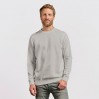 Sweatshirt 80-20 Men - NW/new light grey (2199_E1_Q_OE.jpg)