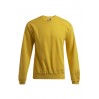 Sweat 80-20 grandes tailles Hommes Promotion - GQ/gold (2199_G1_B_D_.jpg)