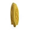 Sweatshirt 80-20 Plus Size Herren Sale - GQ/gold (2199_G2_B_D_.jpg)