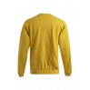 Sweat 80-20 grandes tailles Hommes Promotion - GQ/gold (2199_G3_B_D_.jpg)
