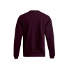 Sweat 80-20 grandes tailles Hommes Promotion - BY/burgundy (2199_G3_F_M_.jpg)