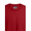 Sweat Premium grande taille Hommes promotion - 36/fire red (5099_G4_F_D_.jpg)
