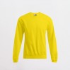Sweatshirt 80-20 Plus Size Männer - GQ/gold (2199_L1_B_D_.jpg)