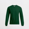 Sweatshirt 80-20 Plus Size Men - RZ/forest (2199_L1_C_E_.jpg)